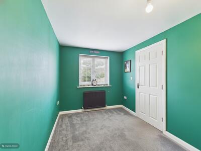 Picture 12